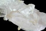 Quartz Crystal Cluster - Brazil #81006-1